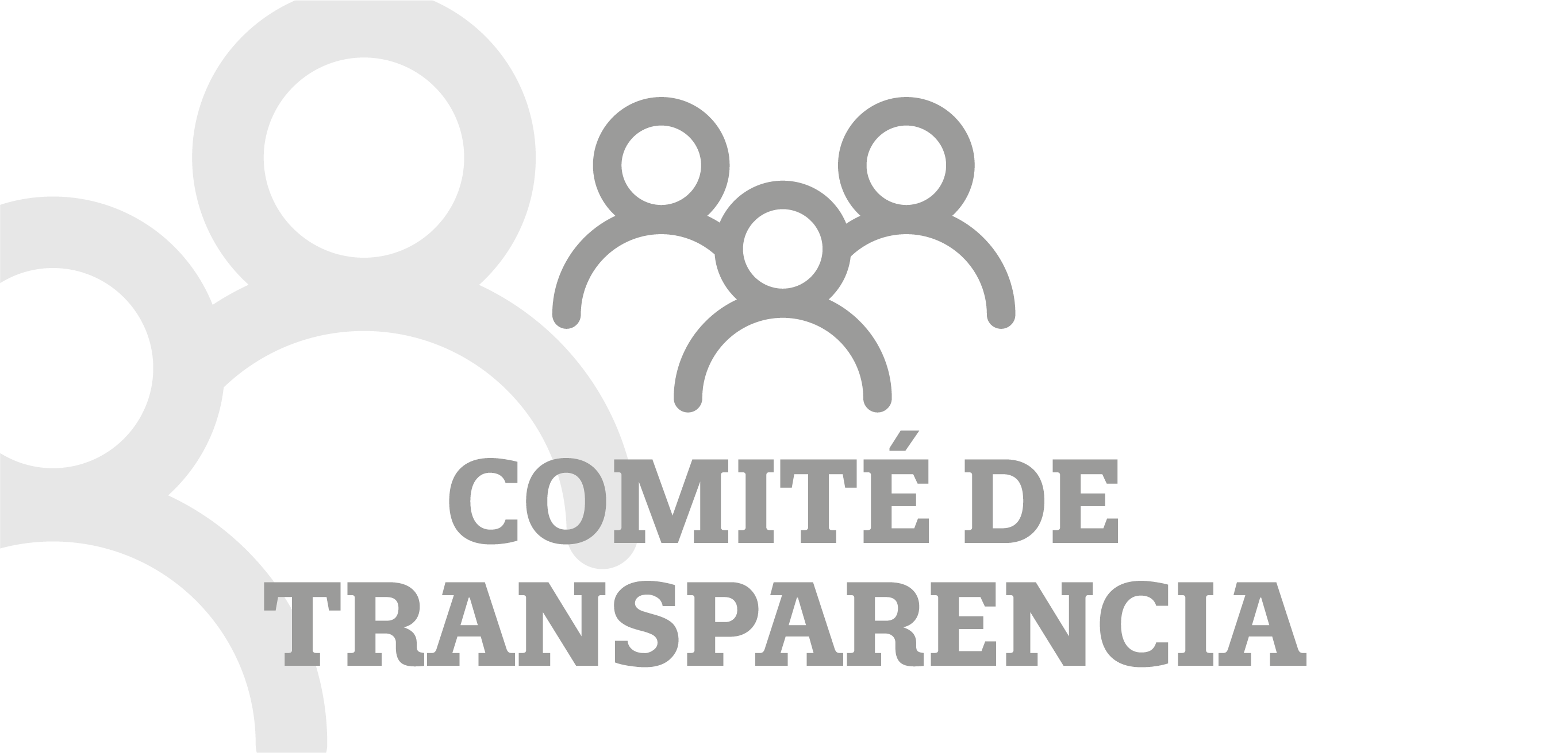 Comite Transparencia